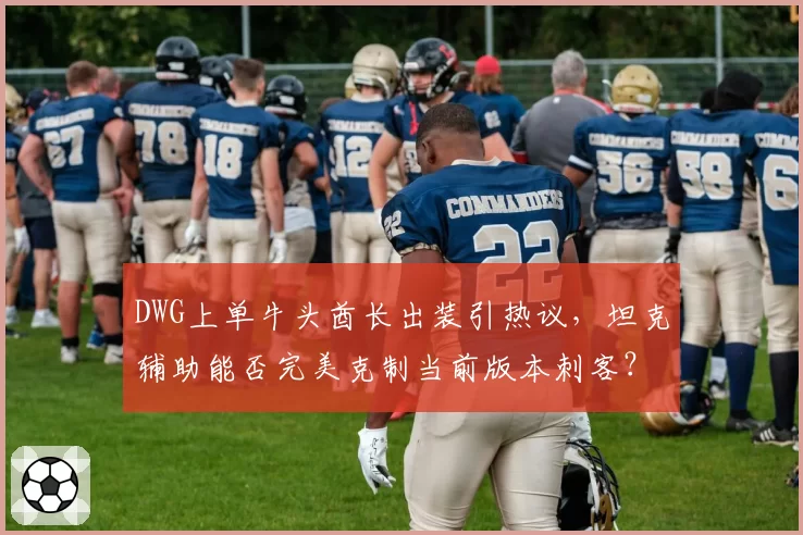 DWG上单牛头酋长出装引热议,坦克辅助能否完美克制当前版本刺客?