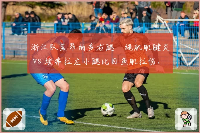 浙江队莱昂纳多右腿腘绳肌肌腱炎 vs 埃弗拉左小腿比目鱼肌拉伤，锋线复出时间表对比分析